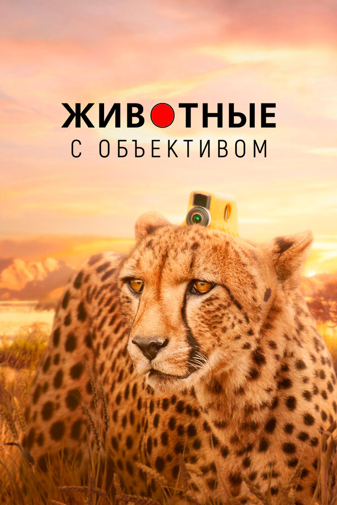 Животные с объективом (2018)