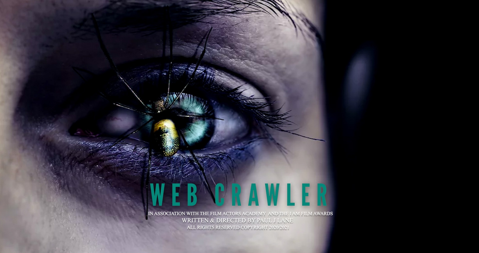 Web Crawler (2021)