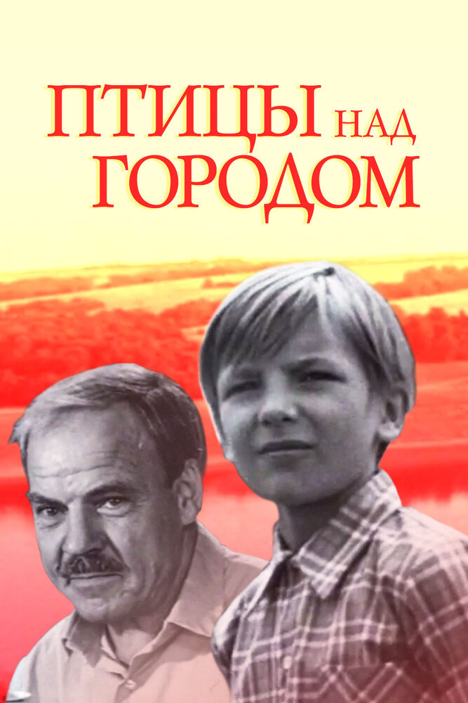 Птицы над городом (1974)