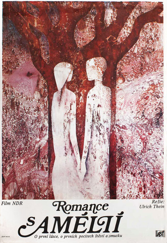 Роман с Амелией (1982)