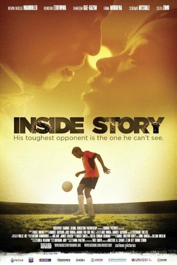 Inside Story (2011)