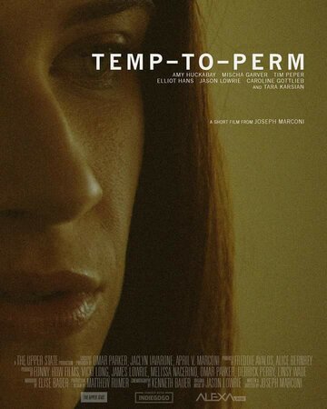 Temp-To-Perm (2017)