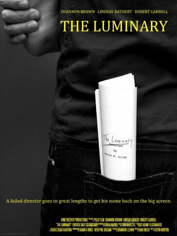 The Luminary (2014)