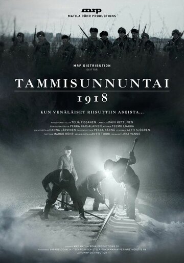 Tammisunnuntai 1918 (2017)